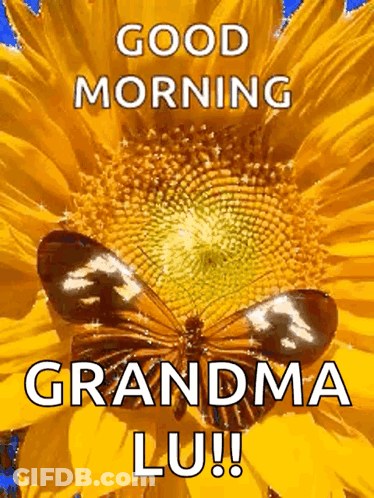 A Picture Of A Sunflower With A Butterfly On It That Says Good Morning Grandma Lu !! GIF