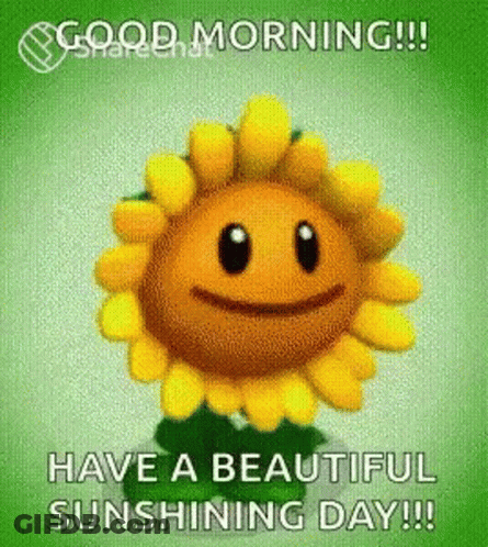 A Picture Of A Sunflower With A Face And The Words `` Have A Beautiful Sunshine Day '' . GIF