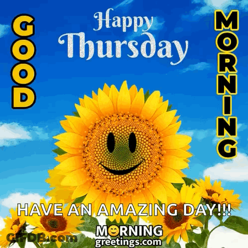 A Picture Of A Sunflower With A Smiley Face And The Words Happy Thursday Have An Amazing Day GIF