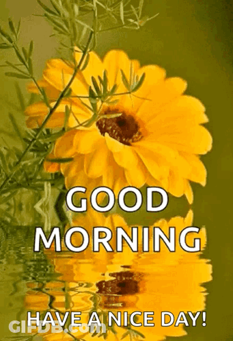 A Picture Of A Sunflower With The Words Good Morning Have A Nice Day GIF