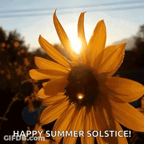 A Picture Of A Sunflower With The Words Happy Summer Solstice On It GIF