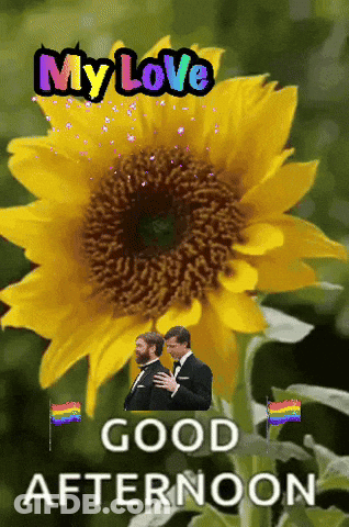 A Picture Of A Sunflower With The Words " My Love Good Afternoon " Below It GIF