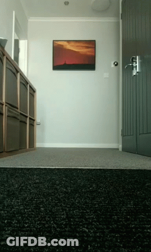 A Picture Of A Sunset Hangs On The Wall Above The Door GIF