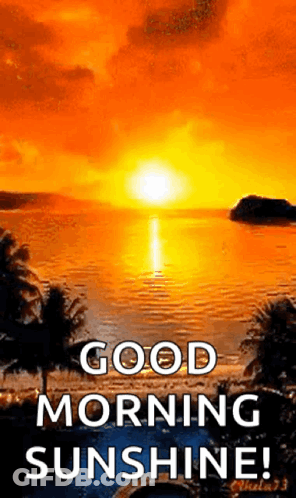 A Picture Of A Sunset Over A Body Of Water With The Words `` Good Morning Sunshine '' . GIF