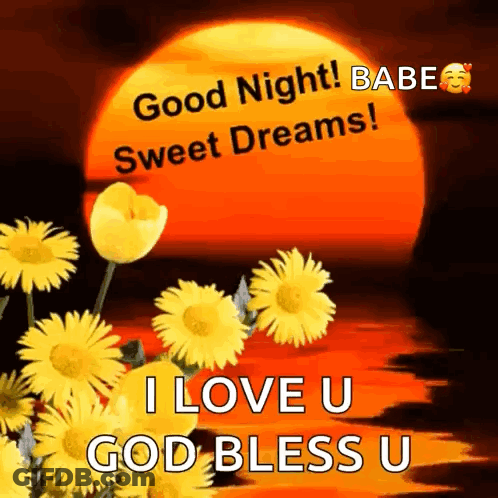 A Picture Of A Sunset With Flowers And The Words `` Good Night Babe Sweet Dreams I Love U God Bless U '' . GIF