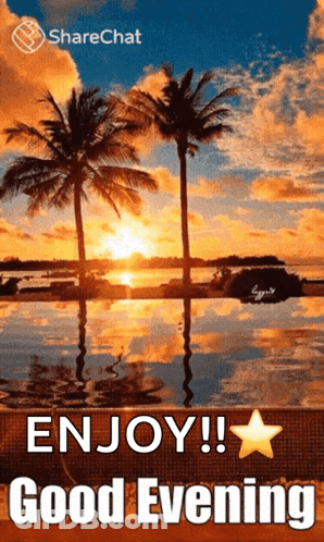 A Picture Of A Sunset With Palm Trees And The Words " Enjoy !! Good Evening " GIF