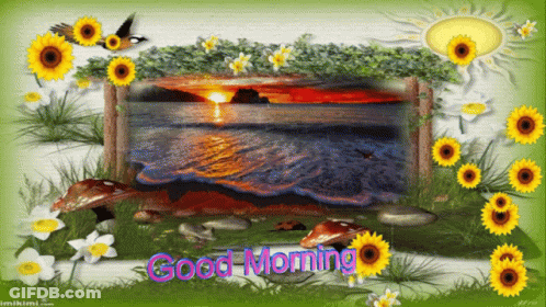 A Picture Of A Sunset With The Words Good Morning Written On It GIF