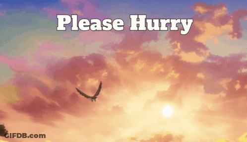 A Picture Of A Sunset With The Words Please Hurry GIF