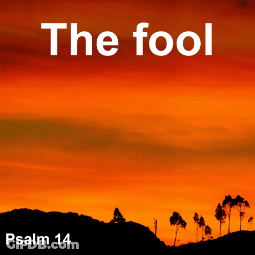 A Picture Of A Sunset With The Words The Fool Psalm 14 GIF
