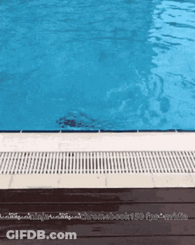 A Picture Of A Swimming Pool With The Words Chromebook150 Fps Nvidia GIF