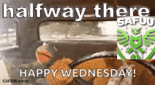 A Picture Of A Teddy Bear Driving A Car With The Words Halfway There Happy Wednesday GIF