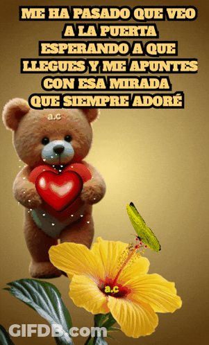 A Picture Of A Teddy Bear Holding A Heart With The Words Me Ha Pasado Que Veo A La Puerta Written Above GIF
