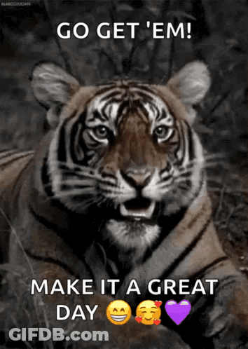 Tiger Saying Go Get Em Make It A Great Day GIF