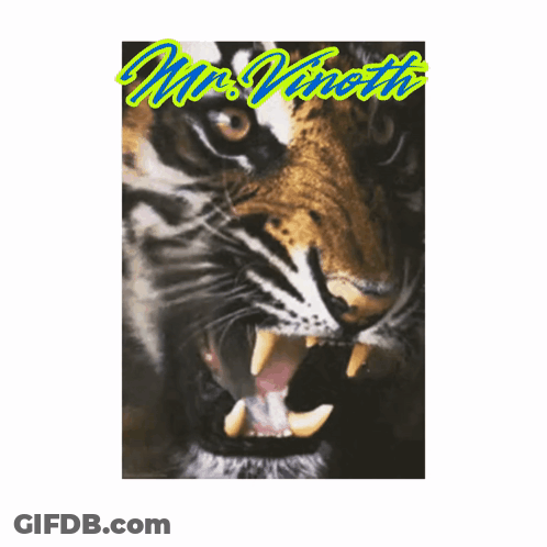 A Picture Of A Tiger With Its Mouth Open And The Name Mrs. Vinette On It GIF