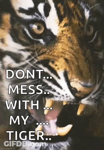 A Picture Of A Tiger With The Words " Do N't Mess With My Tiger " GIF