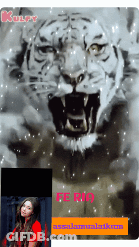 A Picture Of A Tiger With The Words Fe Rio On The Bottom GIF