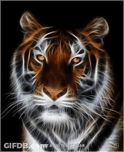A Picture Of A Tiger With The Words Just A Big Teddy Bear GIF