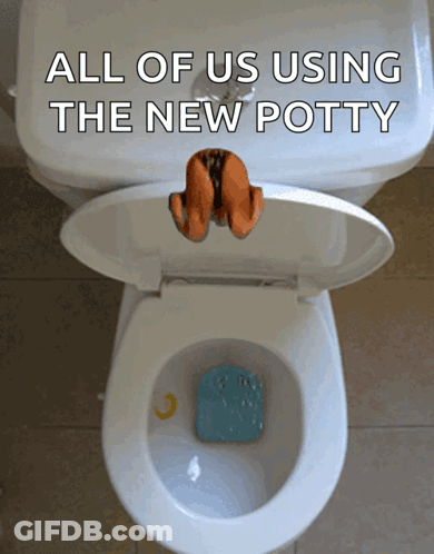 A Picture Of A Toilet With The Words " All Of Us Using The New Potty " GIF