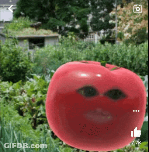 A Picture Of A Tomato With A Face And A Thumbs Up Sign GIF