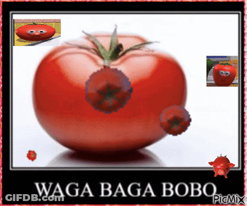A Picture Of A Tomato With A Face And The Words Waga Baga Bobo GIF