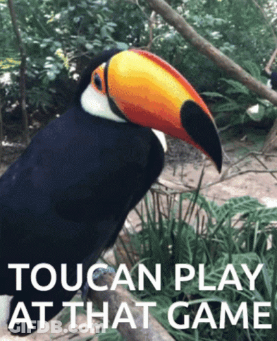 A Picture Of A Toucan With The Words Toucan Play At That Game On The Bottom GIF