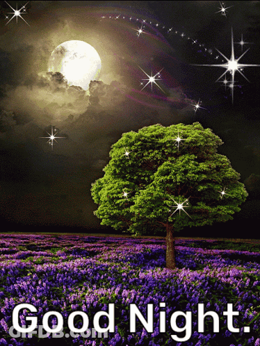 A Picture Of A Tree In A Field With The Words Good Night Written Below It GIF
