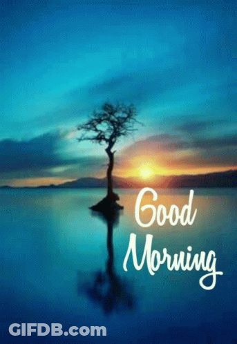 A Picture Of A Tree In The Water With The Words Good Morning Written Below It GIF
