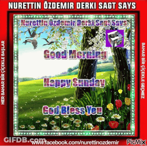 A Picture Of A Tree With The Words Good Morning Happy Sunday God Bless You On It GIF