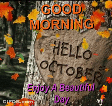 A Picture Of A Tree With The Words Good Morning Hello October Written On It GIF