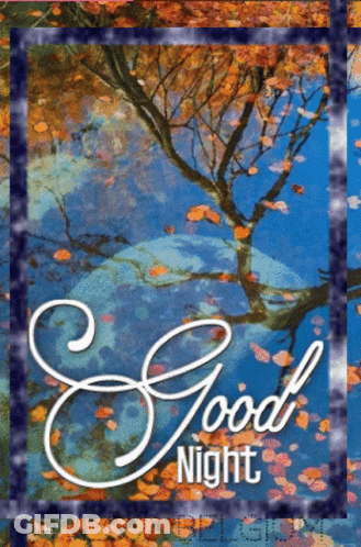 A Picture Of A Tree With The Words Good Night Written On It GIF