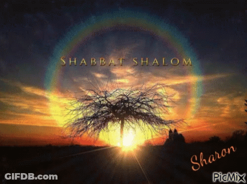 A Picture Of A Tree With The Words Shabbat Shalom Written On It GIF