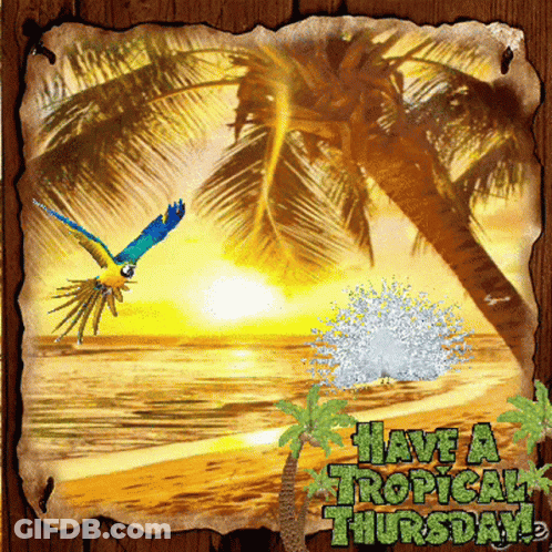 A Picture Of A Tropical Beach With The Words Have A Tropical Thursday GIF
