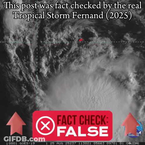 A Picture Of A Tropical Storm Fernand With A Red Fact Check False Button GIF