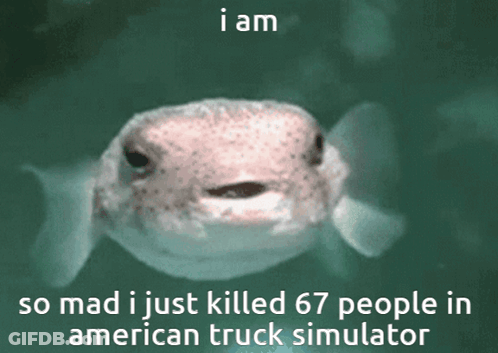 A Picture Of A Turtle With The Words I Am So Mad I Just Killed 67 People In American Truck Simulator GIF