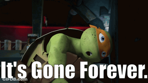 A Picture Of A Turtle With The Words " It 'S Gone Forever " GIF