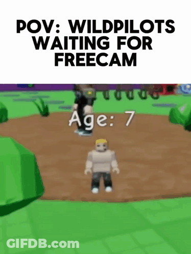 Video Game Waiting For Freecam GIF
