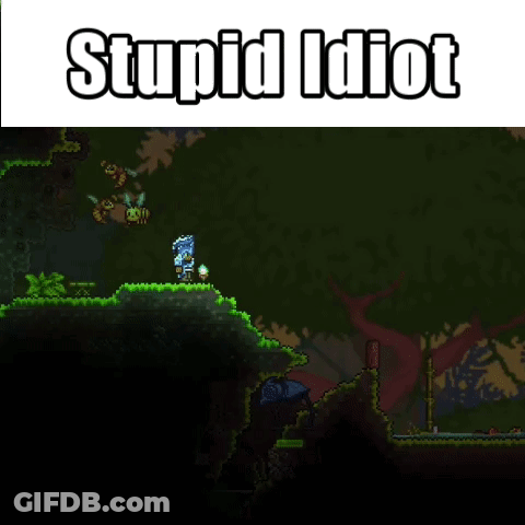 A Picture Of A Video Game With The Words Stupid Idiot Above It GIF