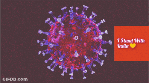 A Picture Of A Virus With The Words " I Stand With India " Underneath It GIF