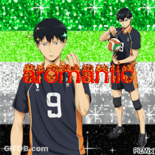 A Picture Of A Volleyball Player With The Number 9 On It GIF