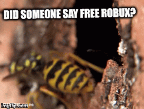 A Picture Of A Wasp With The Words Did Someone Say Free Robux GIF