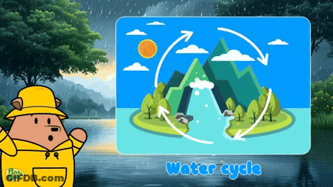 A Picture Of A Water Cycle With A Bear In A Raincoat GIF