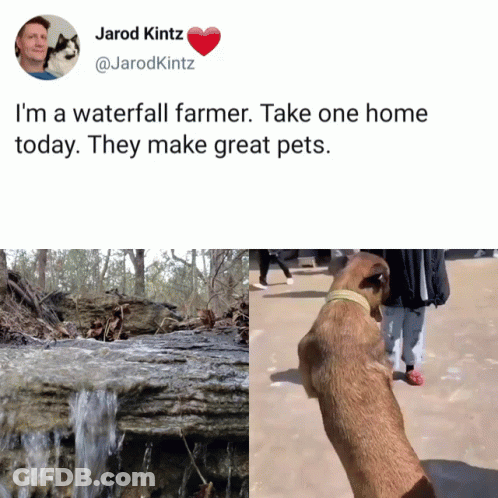 A Picture Of A Waterfall And A Picture Of A Dog With The Caption " I 'M A Waterfall Farmer " GIF