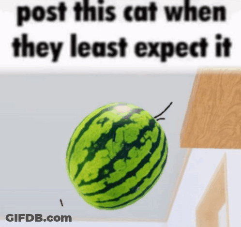 A Picture Of A Watermelon With The Words Post This Cat When They Least Expect It Below It GIF