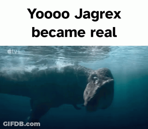 A Picture Of A Whale In The Water With The Words " Yoooo Jagrex Became Real " GIF