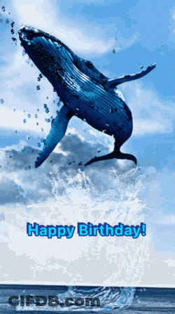 A Picture Of A Whale Jumping Out Of The Water With The Words Happy Birthday Below It GIF