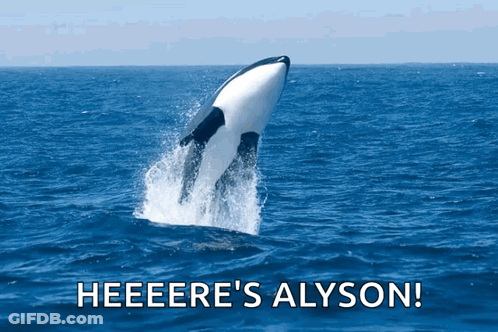 A Picture Of A Whale Jumping Out Of The Water With The Words Heeere 'S Alyson Below It GIF