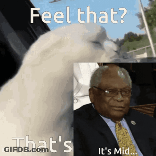 A Picture Of A White Bird And A Picture Of A Man In A Suit And Tie GIF