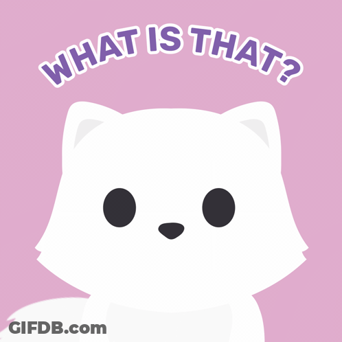 A Picture Of A White Cat With The Words What Is That Below It GIF