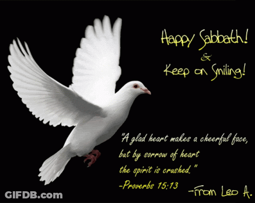 A Picture Of A White Dove With A Quote From Proverbs GIF