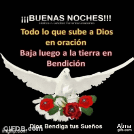 A Picture Of A White Dove With Red Roses And The Words " Buenas Noches " GIF